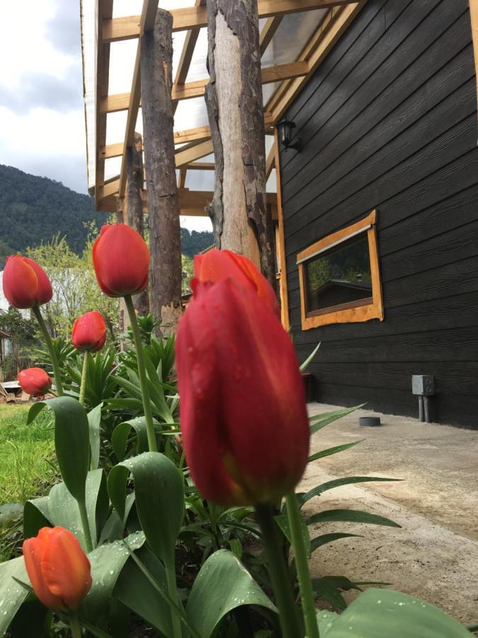 Cabanas Senderos Puyuhuapi Екстериор снимка